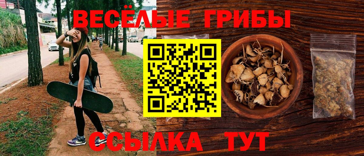 Псилоцибиновые грибы мухоморы  Вход с VPN  Псилоцибиновые грибы MAGIC MUSHROOMS  Калининград 